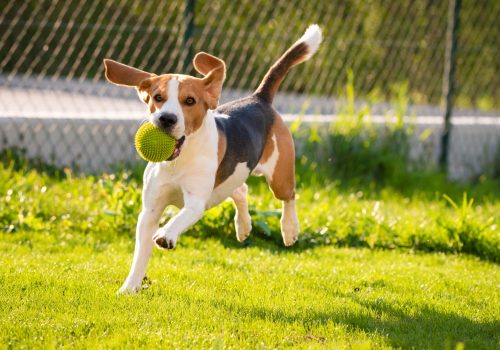 AdobeStock_263540048-hero