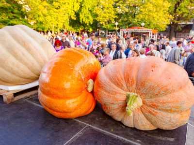 AdobeStock_402652702-hero