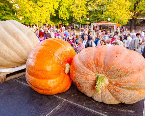 AdobeStock_402652702-hero